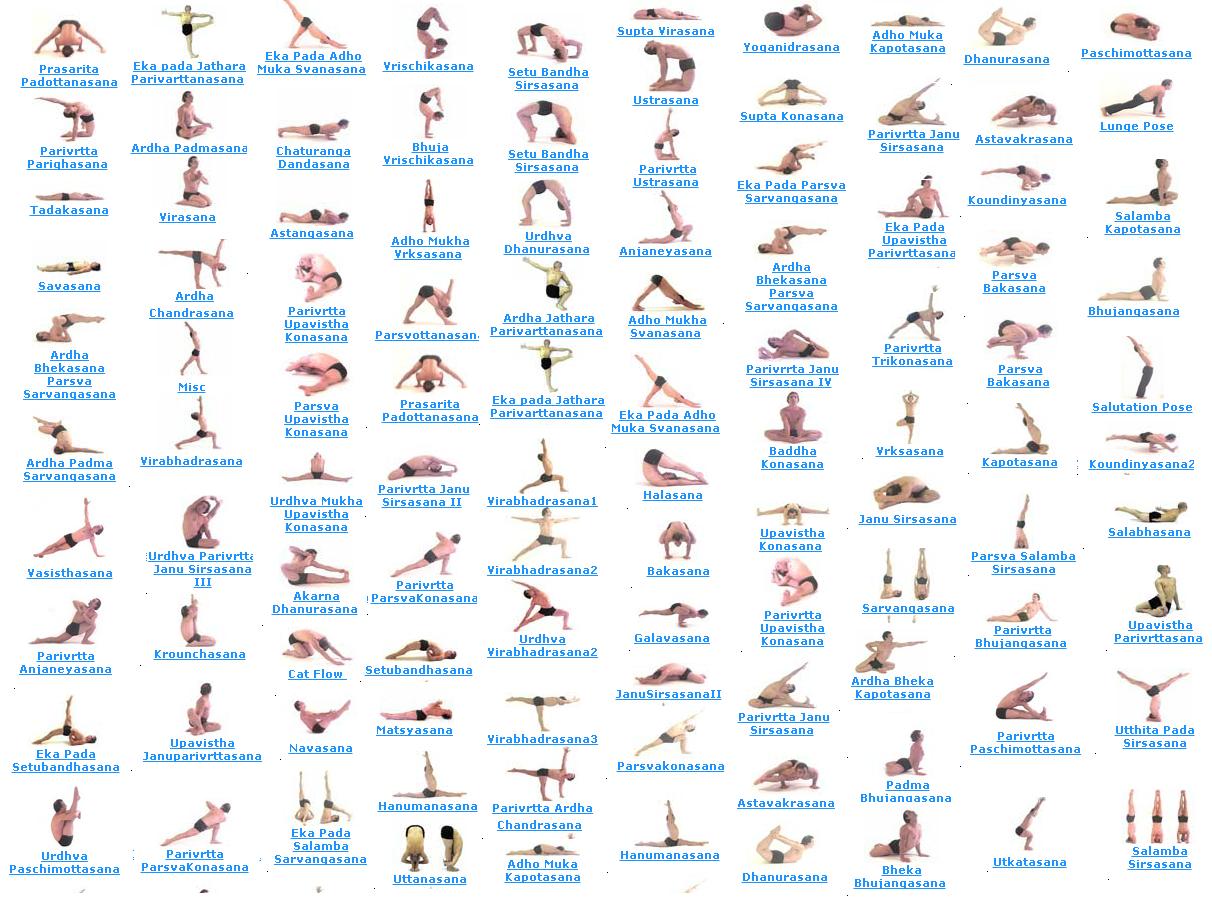 dafa qigong qigong asana poses poses yoga yoga wiki yoga  falun beginners youtube