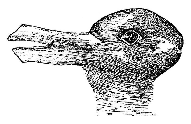 Duck or Rabbit